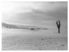 petit film ordinaire: image 6 0f 9 thumb